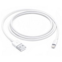 Кабель Apple Lightning to USB (1 м)