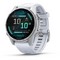 Умные часы Garmin Fenix 8 43mm Amoled Silver 010-02903-00 - фото 27797
