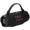 Портативная акустика JBL Charge 6 Black/Violet - фото 30973