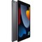 Планшет Apple iPad 10.2 2021, 256 ГБ, Wi-Fi, серый космос - фото 8418