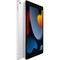 Планшет Apple iPad 10.2 2021, 64 ГБ, Wi-Fi + Cellular, серебристый - фото 8425