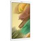 Планшет Samsung Galaxy Tab A7 Lite SM-T220 (2021), 3/32 ГБ, Wi-Fi, серебро - фото 8664