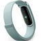 Фитнес-браслет Google Fitbit Air Fog - фото 33957