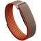Фитнес-браслет Google Fitbit Air Rye by Stephen Curry - фото 33960