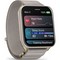 Умные часы Garmin Venu X1 Soft Gold 010-02980-09 - фото 34397