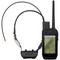 Ошейник Garmin Alpha TT25 010-04149-21 - фото 34275