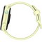 Умные часы Garmin Forerunner 70 Citron 010-04307-02 - фото 34449