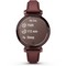 Умные часы Garmin Lily 2 Classic Dark Bronze 010-02839-03 - фото 34521