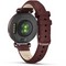 Умные часы Garmin Lily 2 Classic Dark Bronze 010-02839-03 - фото 34525
