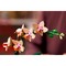 Конструктор LEGO Botanical Mini Orchid (10343) - фото 35577
