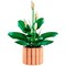 Конструктор LEGO Botanical Peace Lily (11504) - фото 35578