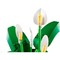 Конструктор LEGO Botanical Peace Lily (11504) - фото 35581