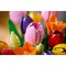 Конструктор LEGO Botanical Tulip Bouquet (11501) - фото 35599
