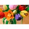 Конструктор LEGO Botanical Tulip Bouquet (11501) - фото 35600