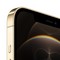 Смартфон Apple iPhone 12 Pro Max 256 ГБ, nano SIM+eSIM, золотой - фото 5027