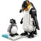 Конструктор LEGO Creator Wild Animals: Panda Family (31165) - фото 35955
