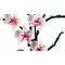 Конструктор LEGO Icons Orchid (10311) - фото 36004