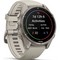 Умные часы Garmin Fenix 9 43mm Amoled Sapphire Titanium with Fog Gray Silicone Band (010-04761-01) - фото 36994