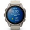 Умные часы Garmin Fenix 9 43mm Amoled Sapphire Titanium with Fog Gray Silicone Band (010-04761-01) - фото 36997