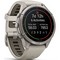 Умные часы Garmin Fenix 9 Pro 43mm Amoled Sapphire Titanium with Fog Gray/Dark Sandstone Silicone Band (010-04335-86) - фото 37035