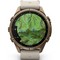 Умные часы Garmin Fenix 9 Pro inReach 43mm Amoled Sapphire Autumn Gold Titanium with Bone Leather Band (010-04335-41) - фото 37078