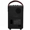 Поративная акустика Marshall Tufton Black - фото 37275