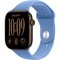 Умные часы Apple Watch Series 12 46mm GPS Dark Bronze Aluminum Case with Wildflower Blue Sport Band SM/ML - фото 37956