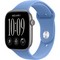 Умные часы Apple Watch Series 12 46mm GPS Space Gray Aluminum Case with Wildflower Blue Sport Band SM/ML - фото 38033