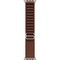 Умные часы Apple Watch Ultra 4 49mm GPS + Cellular Natural Titanium Case with Burgundy Alpine Loop S/M/L - фото 38111