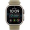 Умные часы Apple Watch Ultra 4 49mm GPS + Cellular Natural Titanium Case with Translucent Kelp Ocean Band - фото 38129