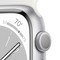 Умные часы Apple Watch Series 8, 45 мм, корпус из алюминия серебристого цвета MP6N3 - фото 9952