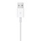 Кабель Apple Watch Magnetic Charging Cable (1 м) - фото 11410