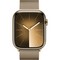 Умные часы Apple Watch Series 9, 45 мм, корпус из нержавеющей стали, миланский сетчатый браслет, золото - фото 14983