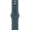 Умные часы Apple Watch Series 10 GPS 42mm Rose Gold Aluminum Lake Green Sport Band - фото 16060