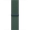 Умные часы Apple Watch SE 2 (2024) GPS 40mm Starlight Aluminium Lake Green Sport Loop - фото 16144