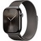 Умные часы Apple Watch Series 10 GPS + Cellular 46mm Slate Titanium Milanese Loop - фото 16232