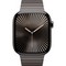 Умные часы Apple Watch Series 10 GPS + Cellular 46mm Slate Titanium Link Bracelet - фото 16242
