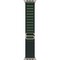 Умные часы Apple Watch Ultra 2 (2024) GPS + Cellular 49mm Natural Alpine Loop Dark Green - фото 16281