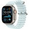 Умные часы Apple Watch Ultra 2 (2024) GPS + Cellular 49mm Natural Ocean Band Ice Blue - фото 16327