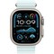 Умные часы Apple Watch Ultra 2 (2024) GPS + Cellular 49mm Natural Ocean Band Ice Blue - фото 16328