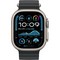 Умные часы Apple Watch Ultra 2 (2024) GPS + Cellular 49mm Natural Ocean Band Black - фото 16334