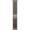 Умные часы Apple Watch Ultra 2 (2024) GPS + Cellular 49mm Natural Titanium Milanese Loop - фото 16347