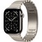 Умные часы Apple Watch Series 11, 42 mm, Natural Titanium Link Bracelet - фото 16648