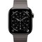 Умные часы Apple Watch Series 11, 42 mm, Slate Titanium Link Bracelet - фото 16653