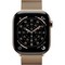 Умные часы Apple Watch Series 11, 46 mm, S-M/M-L Gold Titanium Milanese Loop - фото 16657