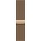 Умные часы Apple Watch Series 11, 46 mm, S-M/M-L Gold Titanium Milanese Loop - фото 16658