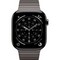 Умные часы Apple Watch Series 11, 46 mm, Slate Titanium Link Bracelet - фото 16666