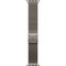 Умные часы Apple Watch Ultra 3, 49 mm, Natural Titanium Milanese Loop - фото 16791
