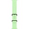 Умные часы Apple Watch Ultra 3, 49 mm, Black Ocean Band Neon Green - фото 16812