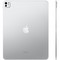 Планшет Apple iPad Pro (M4, 2024) 13" Wi-Fi + Cellular 256Gb Silver - фото 18362